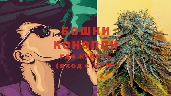 бошки Инта