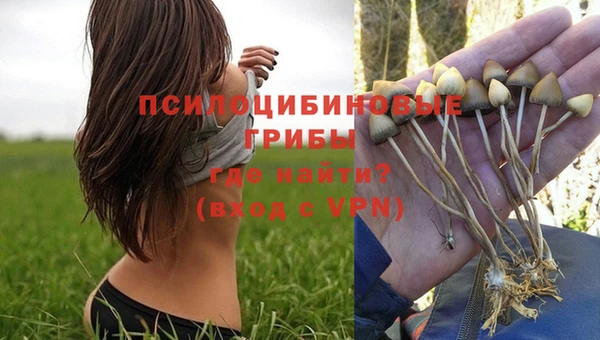 дживик Инсар