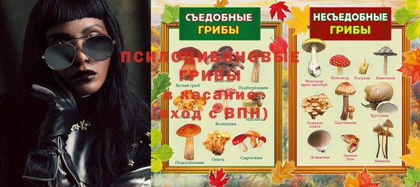 бошки Инта