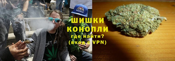 дживик Инсар