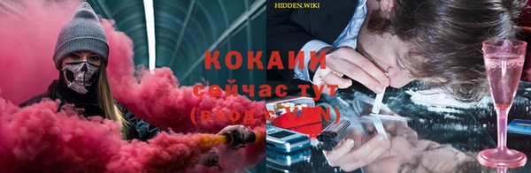 дживик Инсар