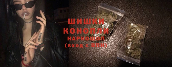 бошки Инта