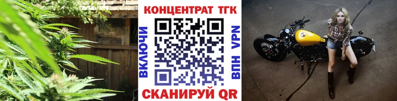Купить закладки  Макаров  Дистиллят ТГК концентрат 